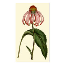 Profilkort för fetstil