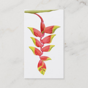 Profilkort för Heliconia Gren Visitkort