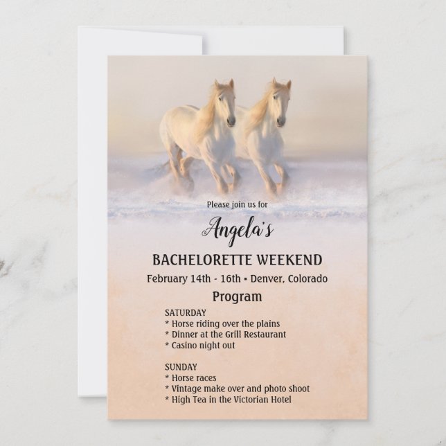 Programmall för Winter Horse Bachelorette Helg Inbjudningar (Framsida)