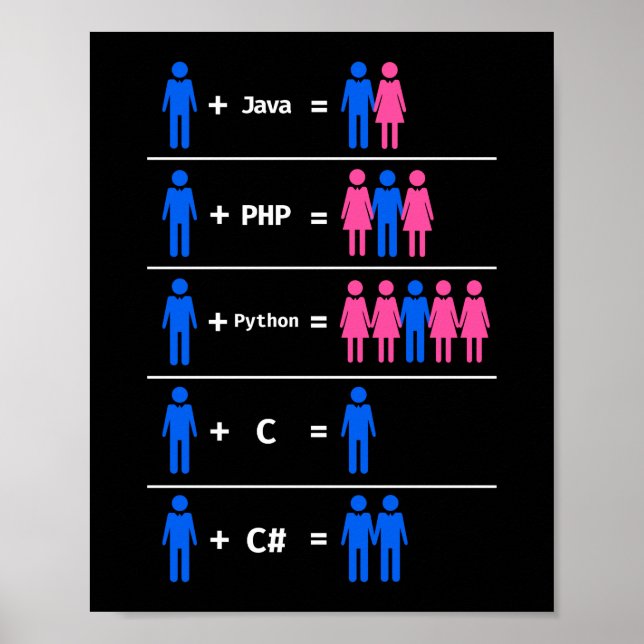 Programmer Coding C Python PHP Java Attracts Manar Poster (Framsidan)