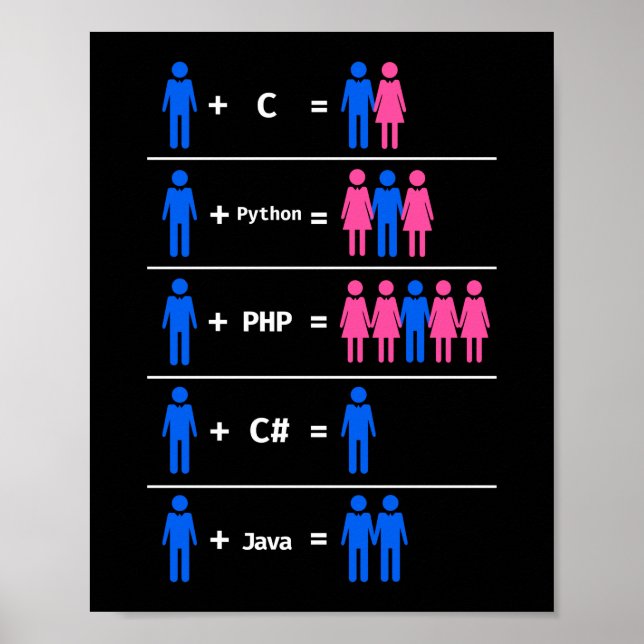 Programmer Coding C Python PHP Java Attracts Manar Poster (Framsidan)