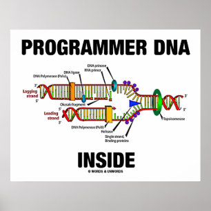 Programmer DNA Inside (DNA-replikering) Poster