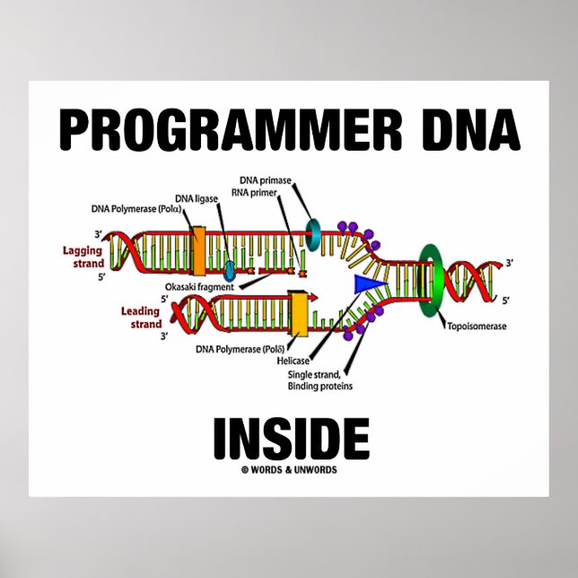 Programmer DNA Inside (DNA-replikering) Poster (Framsidan)