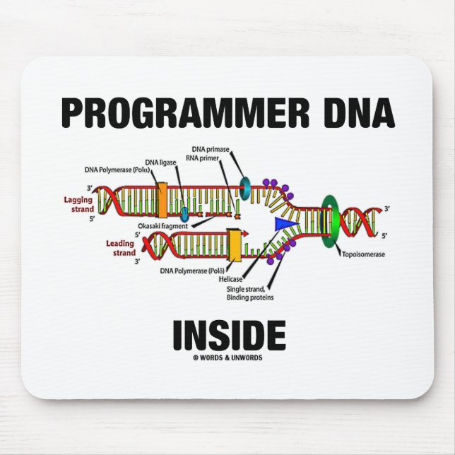 ProgrammerareDNA-insida (DNA-replicationen) Musmatta (Framsidan)