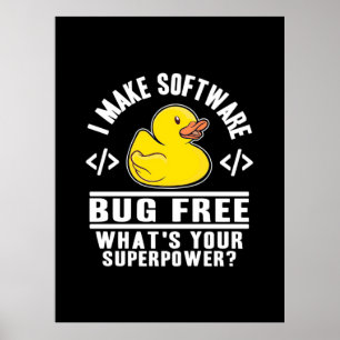 Programmeraren gör Software Kryp gratis Poster