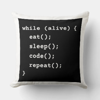 Programmerarens livscykel Loop (while loop) Kudde