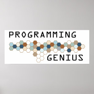 Programmering Genius Poster