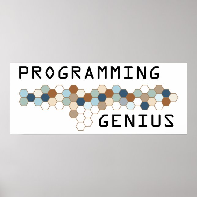 Programmering Genius Poster (Framsidan)