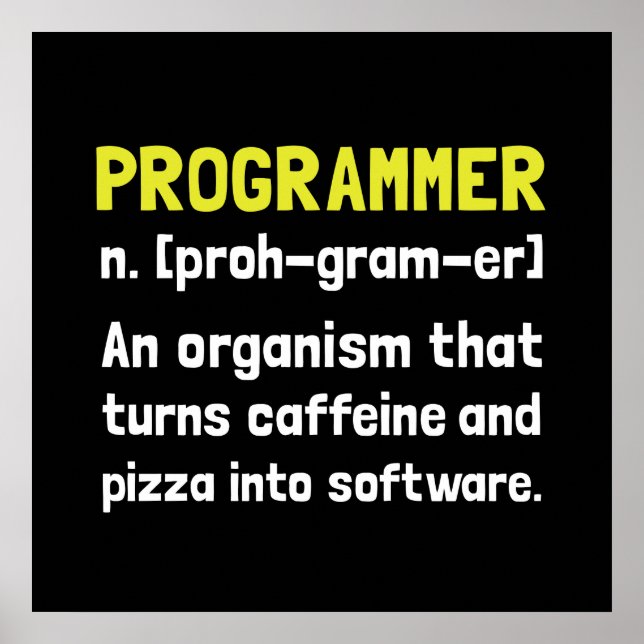 Programmeringsdefinition Poster (Framsidan)