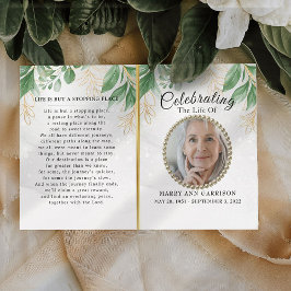 Programmet Foliage Greenery Photo Life Firande