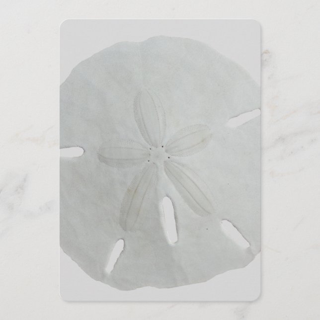 Programmet Sand Dollar Bröllop Fläkt Papper Program (Framsida)