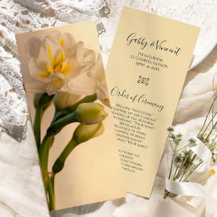 Programmet White Dubbla Daffodils Vår bröllop Program