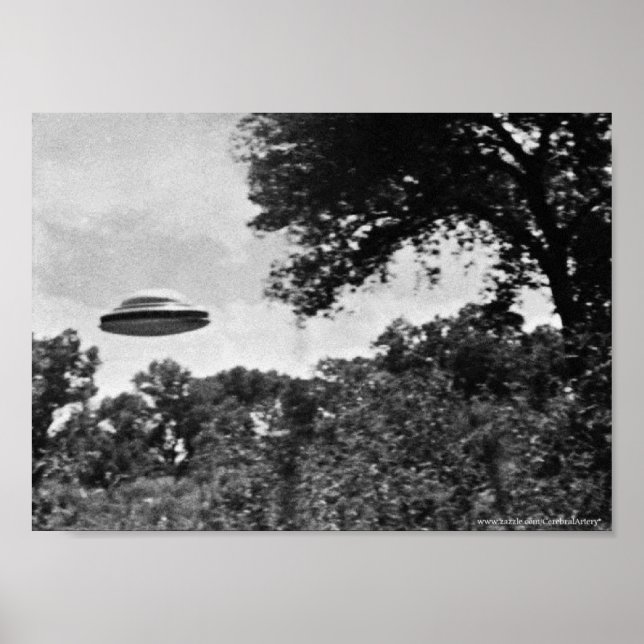 Project Blue Bok-UFO över Träd Poster (Framsidan)