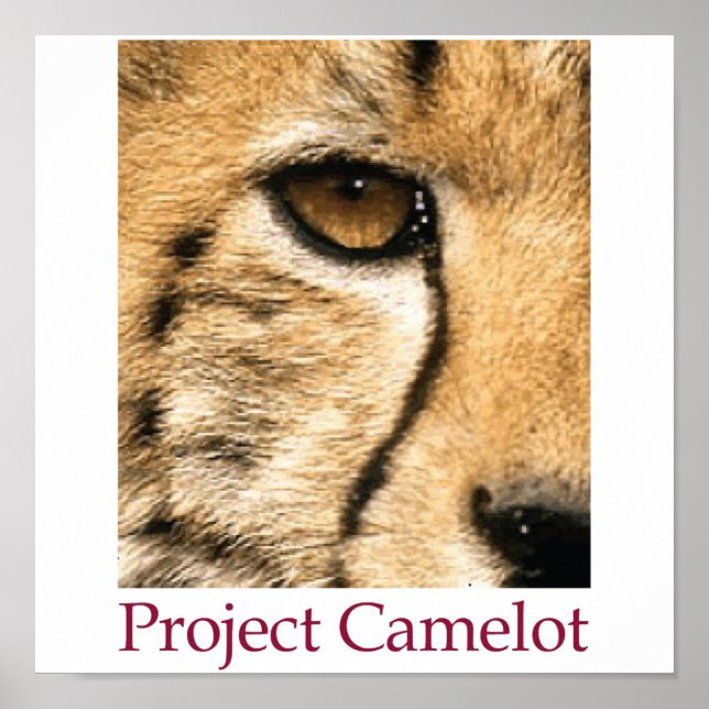 Project Camelot Poster (Framsidan)