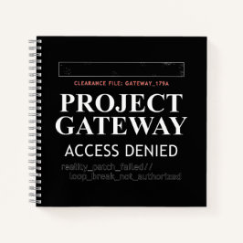 Project Gateway - ACCESS NEIED - Verklighetsglitch