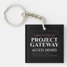 Project Gateway - ACCESS NEIED - Verklighetsglitch