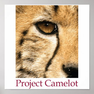 Projektera den Camelot affischen Poster
