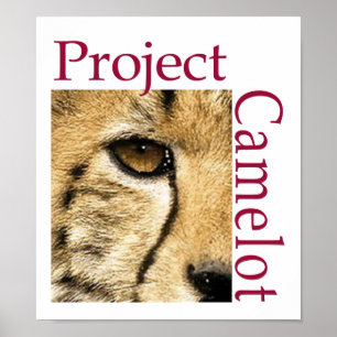 Projektera den Camelot logotypaffischen Poster