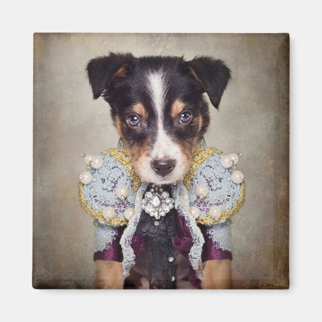 Projektet för inkapslare - Loki Magnet (Framsidan)