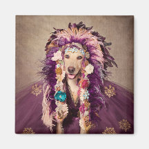 Projektet Shelter Pets - Catori