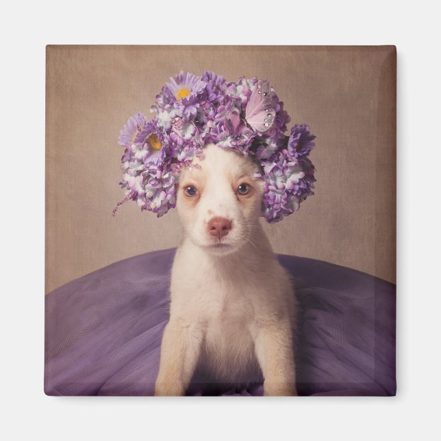 Projektet Shelter Pets - Fiona Magnet (Framsidan)