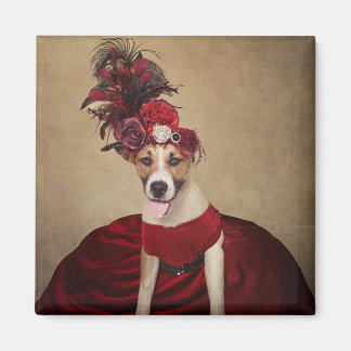 Projektet Shelter Pets - Flicka Magnet