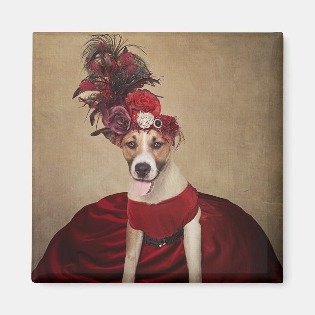 Projektet Shelter Pets - Flicka Magnet (Framsidan)