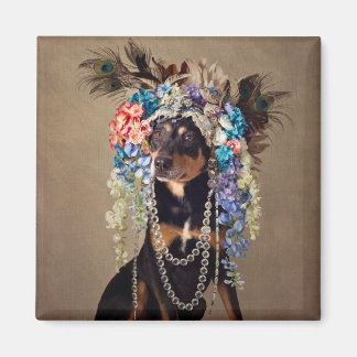 Projektet Shelter Pets - Midnatt Magnet