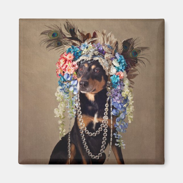 Projektet Shelter Pets - Midnatt Magnet (Framsidan)