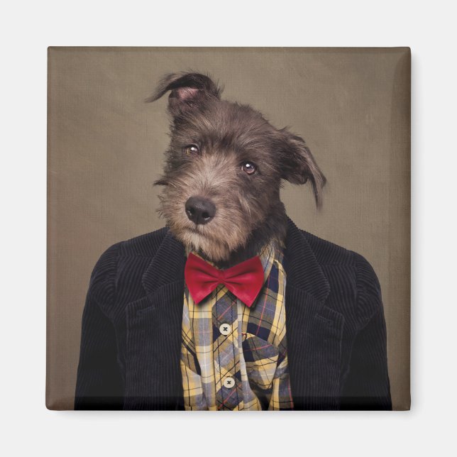 Projektet Shelter Pets - Ombré Magnet (Framsidan)