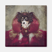 Projektet Shelter Pets - Peggy Sue