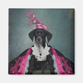 Projektet Shelter Pets - Pepper Magnet