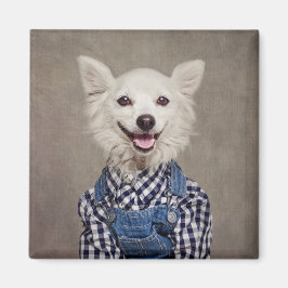 Projektet Shelter Pets - Tonka Magnet