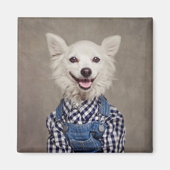 Projektet Shelter Pets - Tonka Magnet (Framsidan)