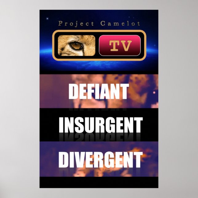 PROJEKTKAMLOT POSTER (Framsidan)