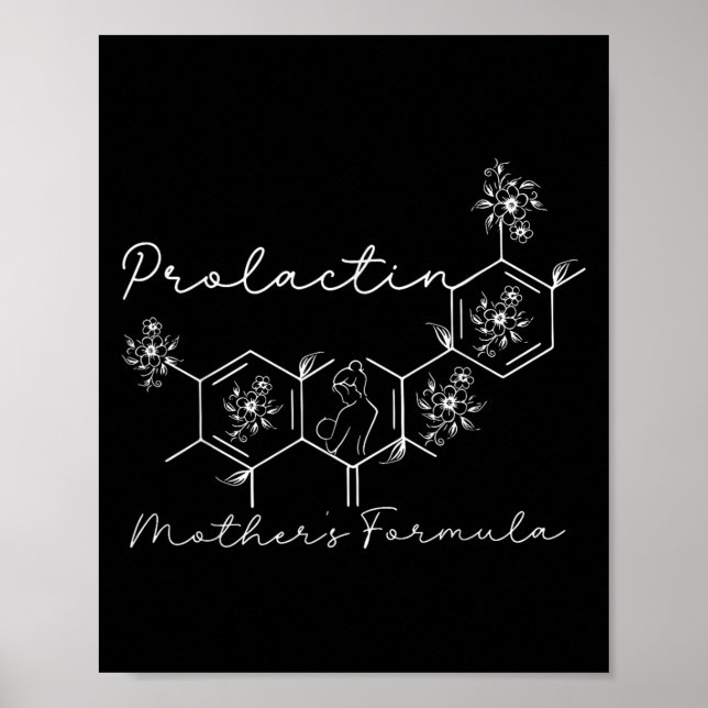 Prolactin Mothers Formula Lactation Nurse Labor An Poster (Framsidan)