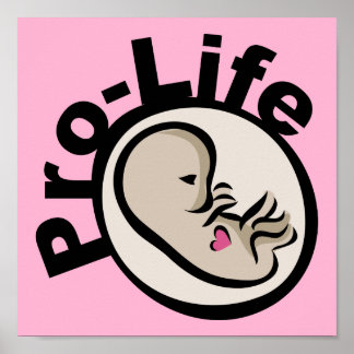 ProLife Fetus Design Poster