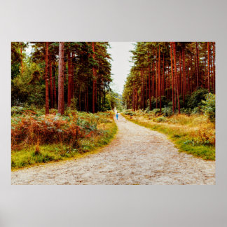 Promenad i skogen i naturen poster