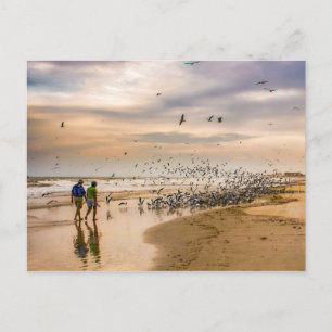 Promenad på en strand i Florida Resefotografering Vykort