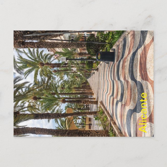 Promenasträ, Alicante, Costa Blanca, Spanien Vykort (Framsida)