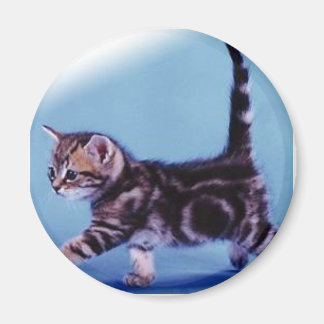 promenera%20kitten%20RC%20Tyskland Magnet