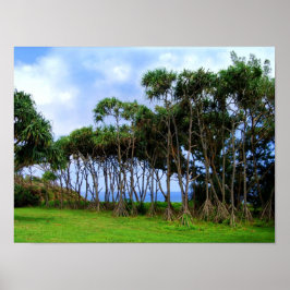 Promenerande palmer på Hawaii Poster