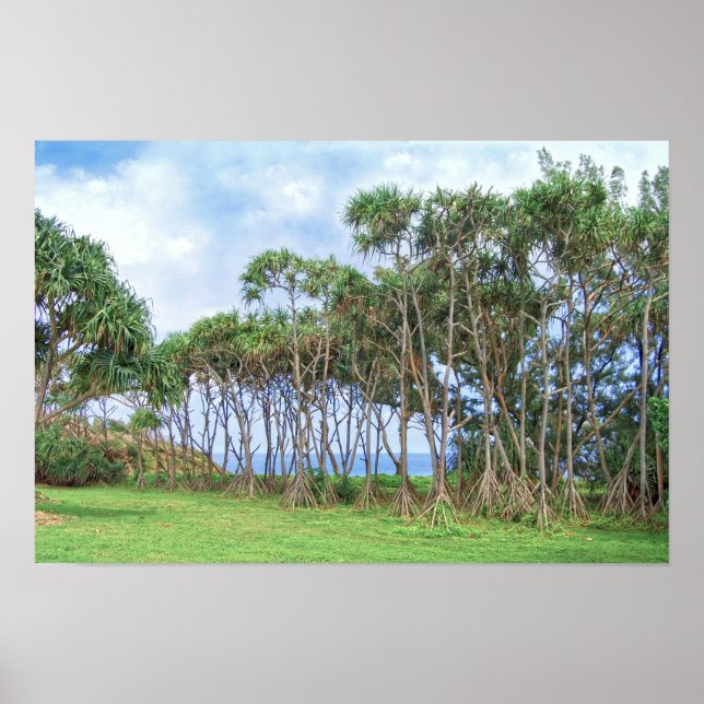 Promenerande palmer på Hawaii Poster (Framsidan)