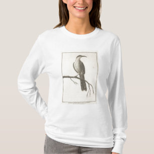 Promerops eller biEater av Kalifornien Tee Shirt