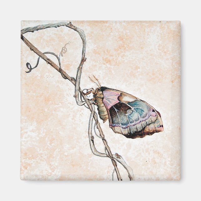 Promethea Moth Magnet (Framsidan)