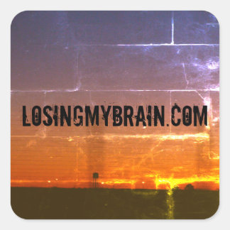 Promo Sticker för LMD-webbplats Fyrkantigt Klistermärke