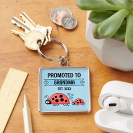 Promoted to Grandma ladybugs blue Fyrkantig Silverfärgad Nyckelring