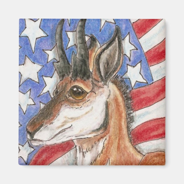 Pronghorn Antelope Americana Wildlife Art Magnet (Framsidan)