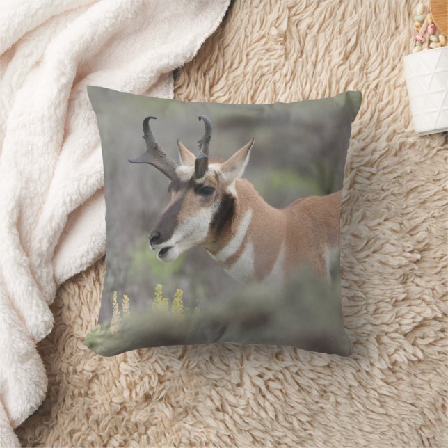 Pronghorn Antelope Buck | Grand Tetons Kudde (Filt)