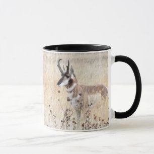 Pronghorn antilopbock i det Wyoming fält Mugg